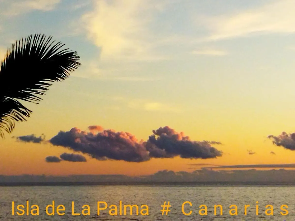 Farm stay Finca La Principal Brena Alta