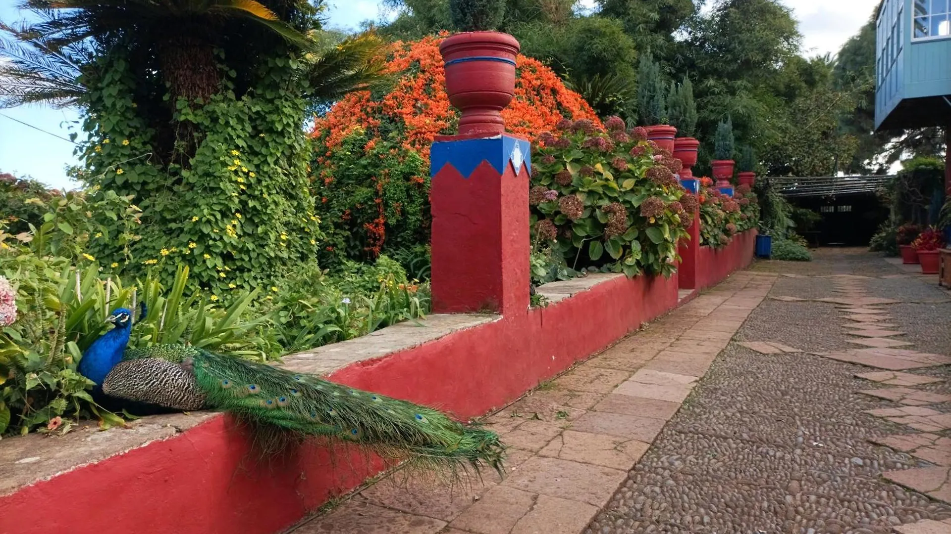 Finca La Principal Breña Alta Feriegård