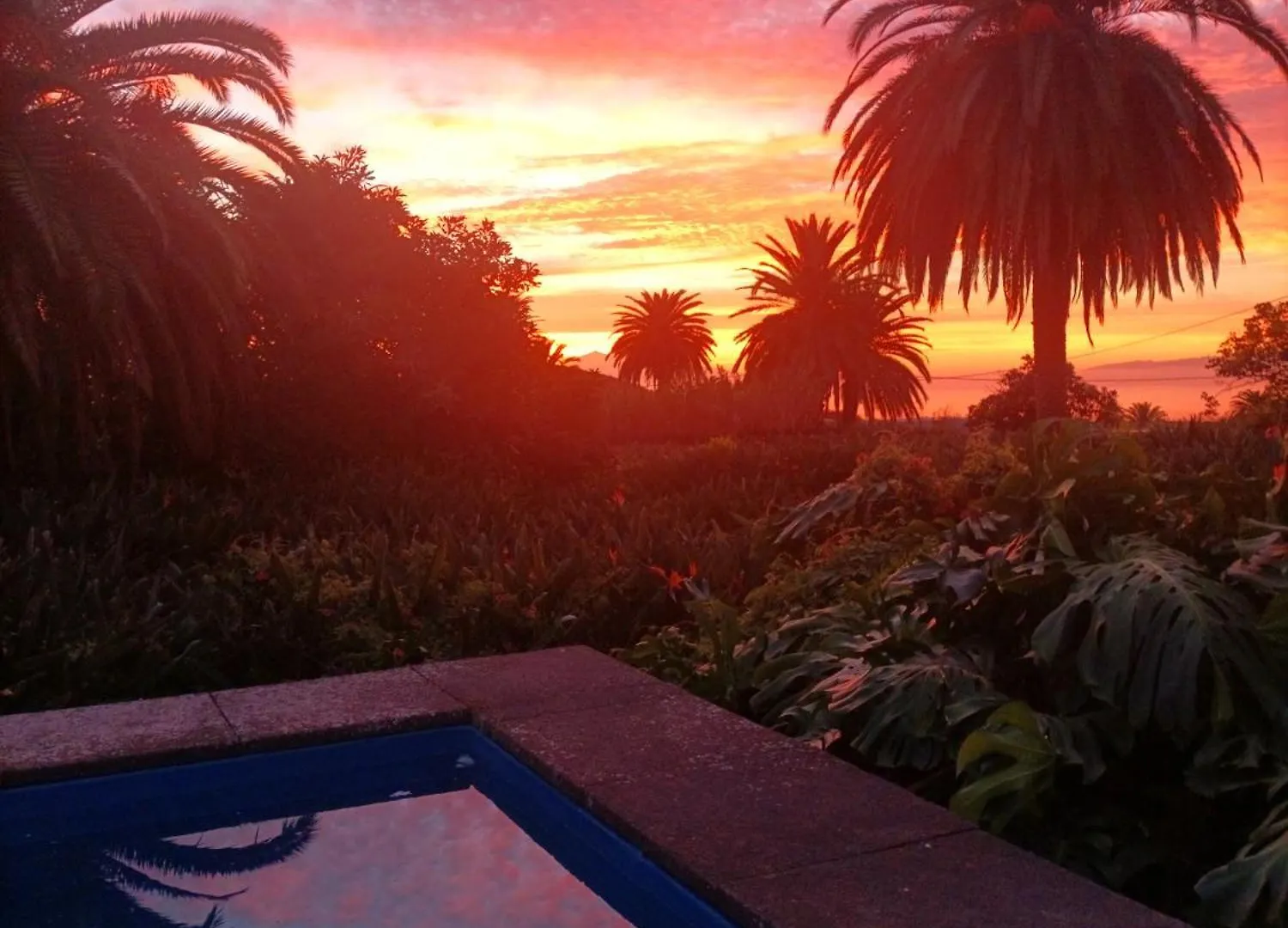 Farm stay Finca La Principal Brena Alta
