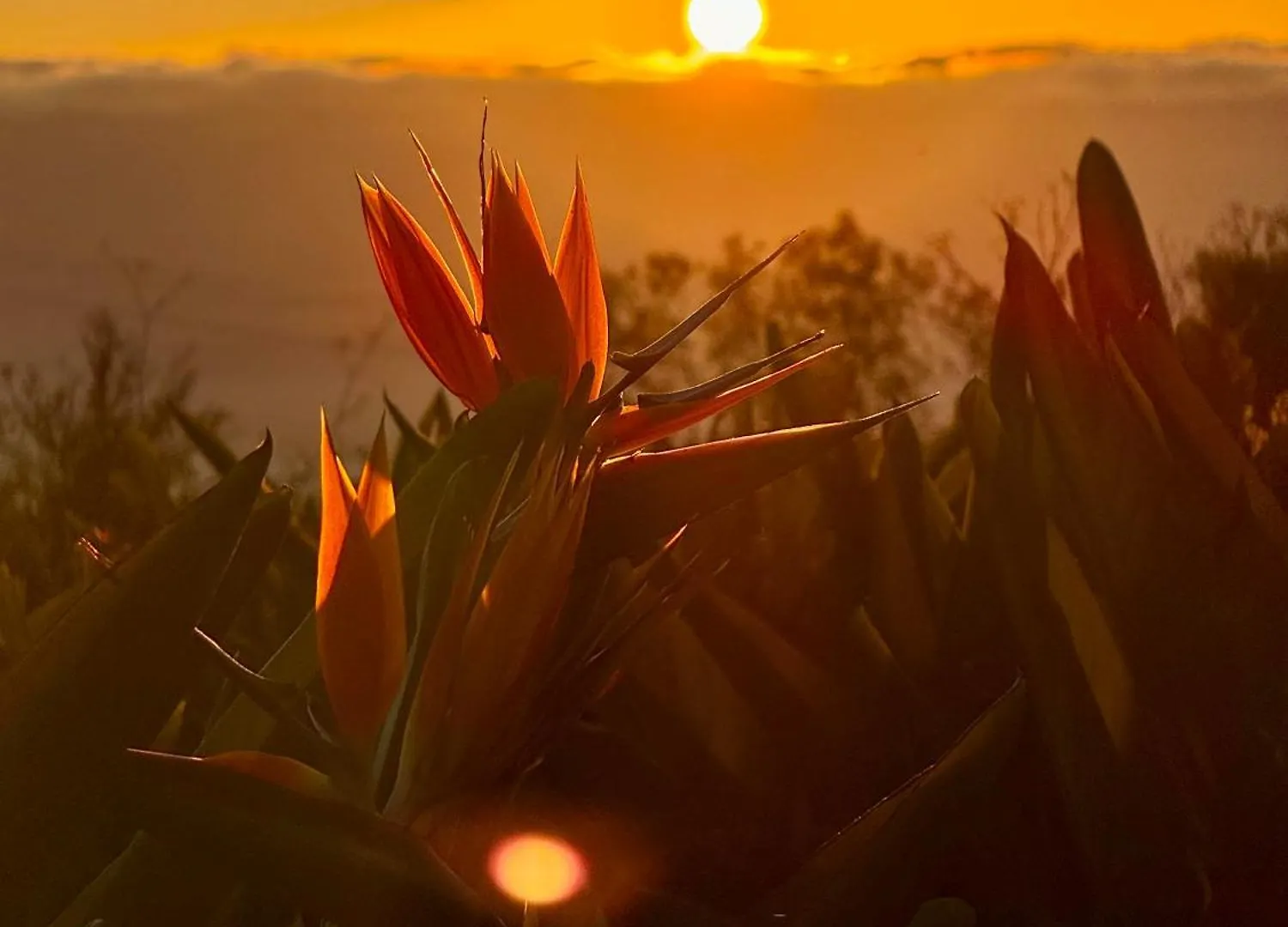 Finca La Principal Brena Alta Farm stay