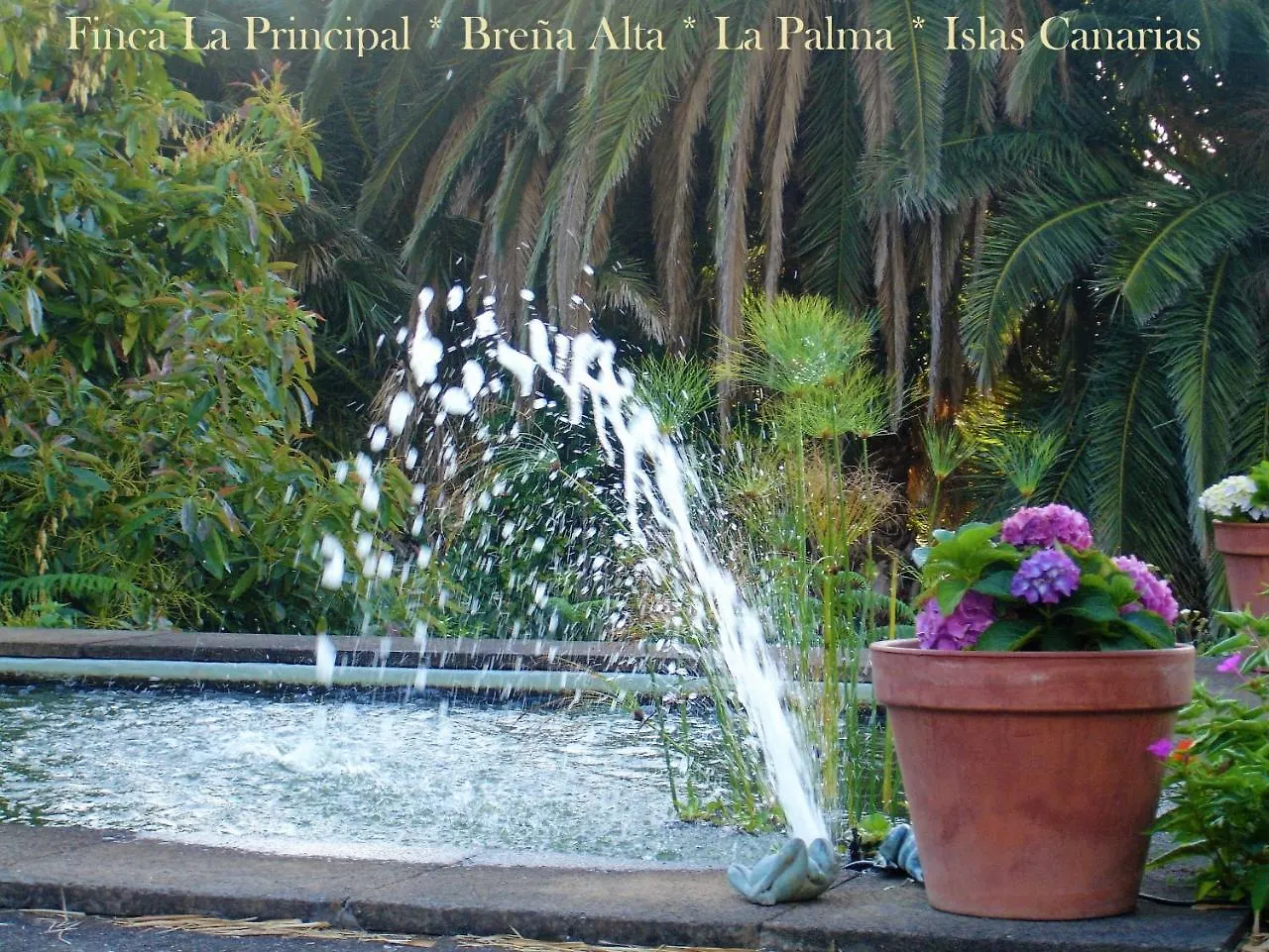 Finca La Principal Breña Alta Spanien