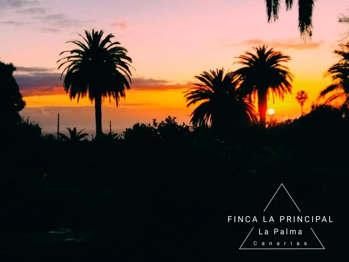 Finca La Principal Breña Alta