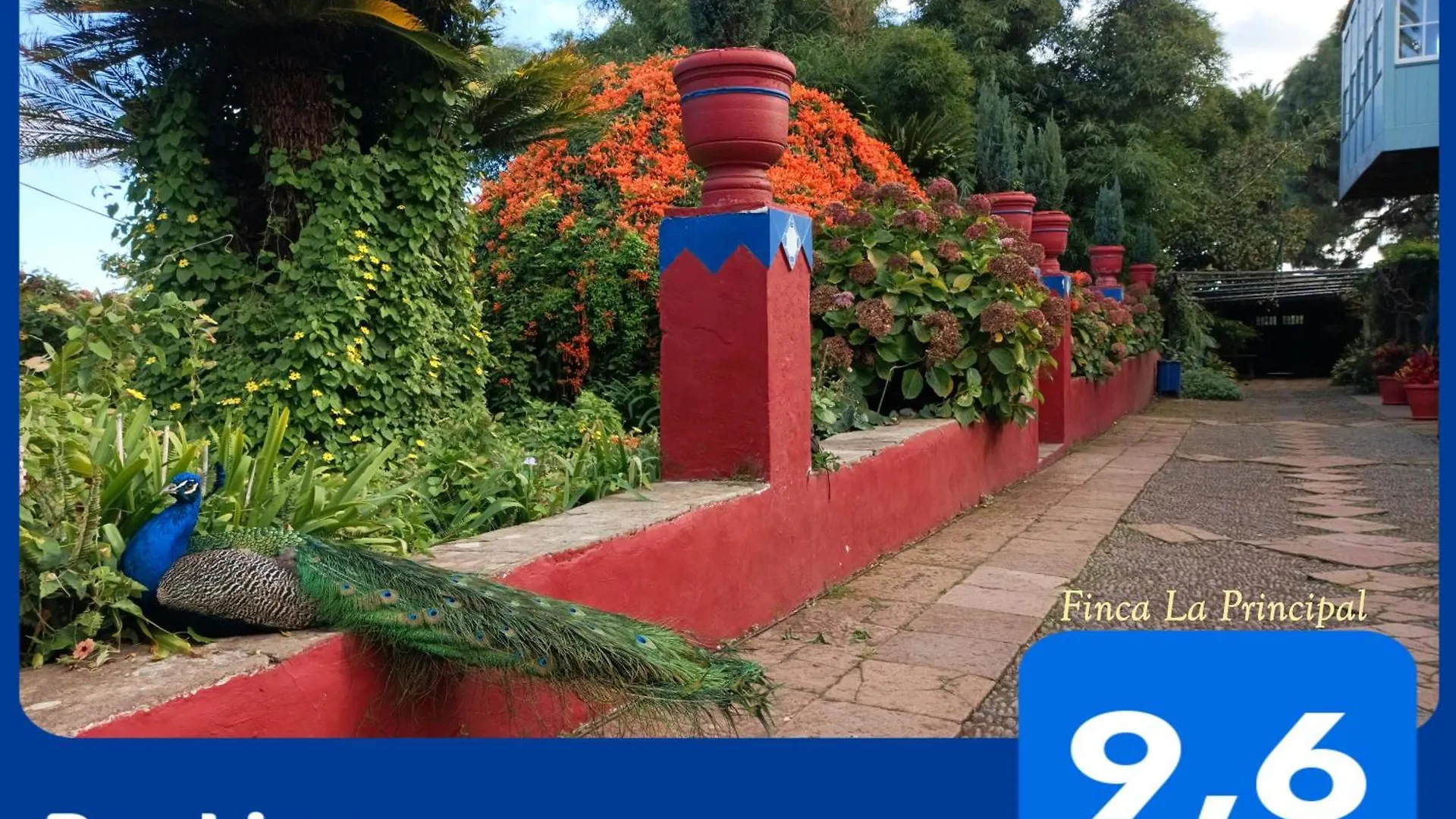 Agroturismo Finca La Principal Breña Alta