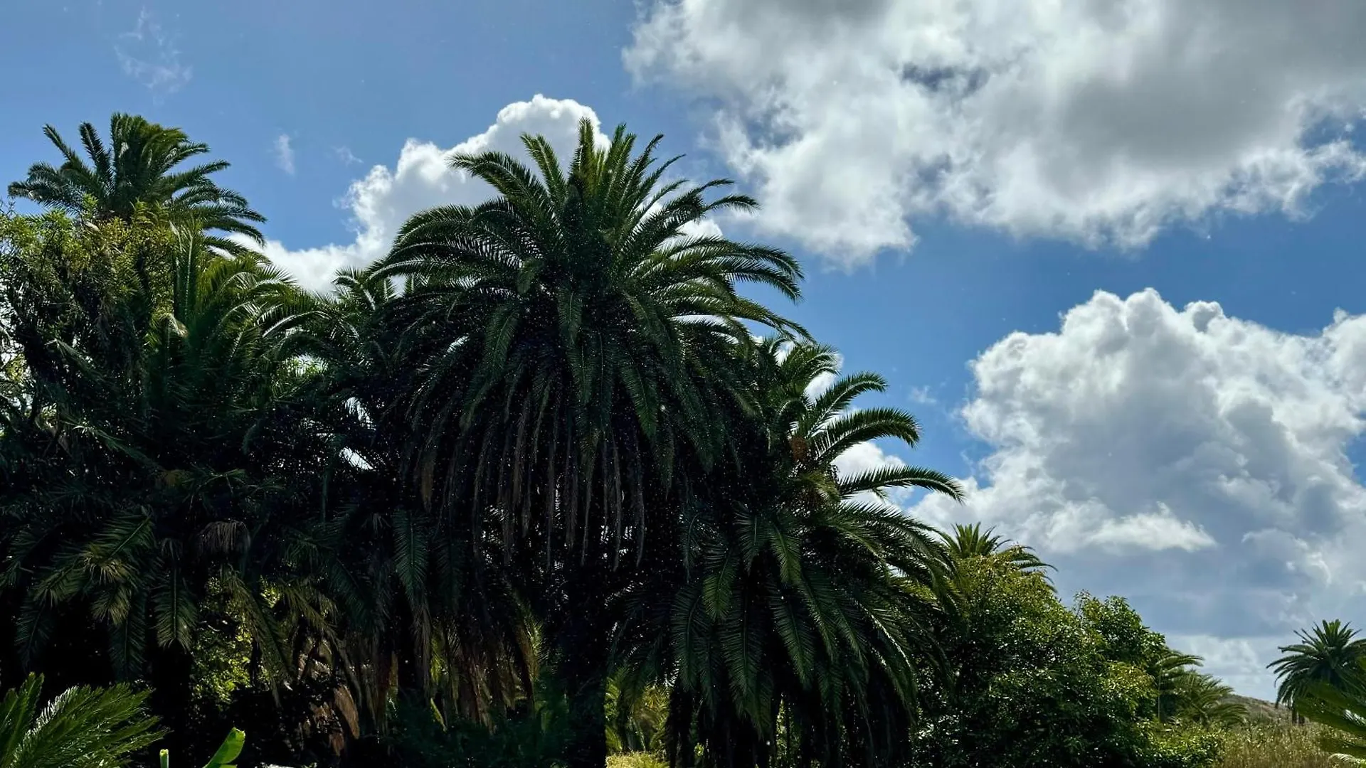 Finca La Principal Breña Alta 0*,  España