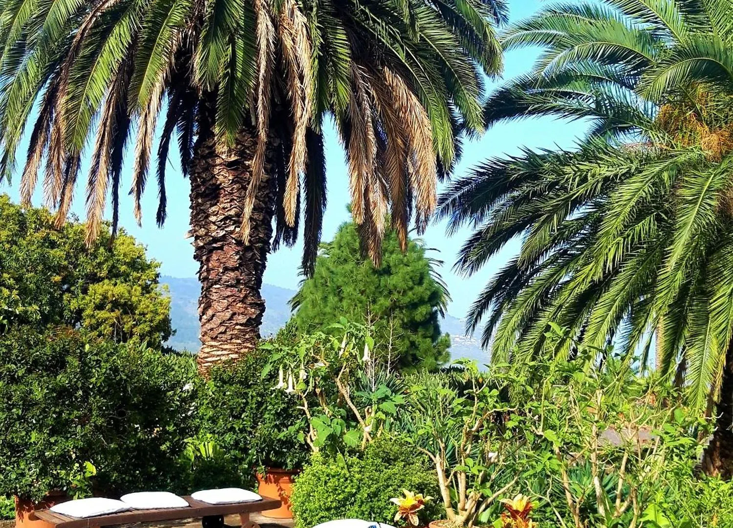 Finca La Principal Breña Alta