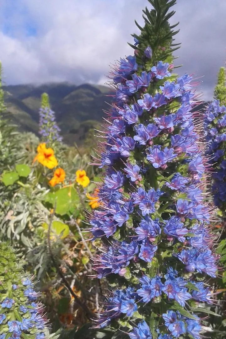 Finca La Principal Breña Alta España