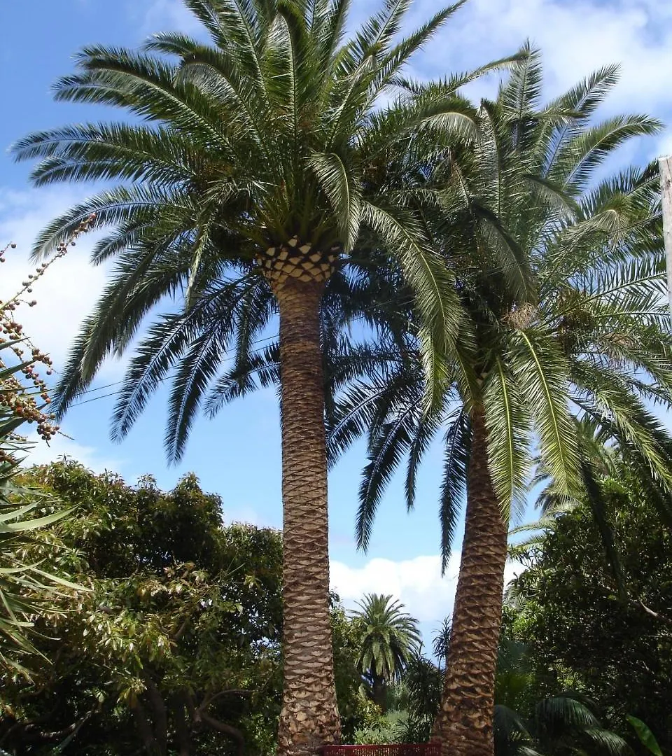 Agroturismo Finca La Principal Breña Alta España