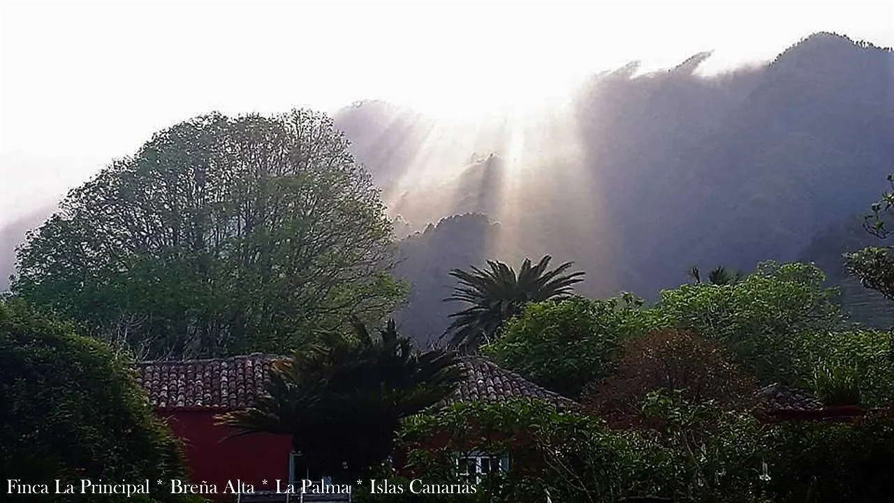 Farm stay Finca La Principal Brena Alta